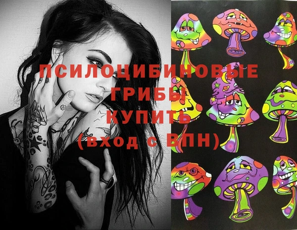 ECSTASY Алексеевка