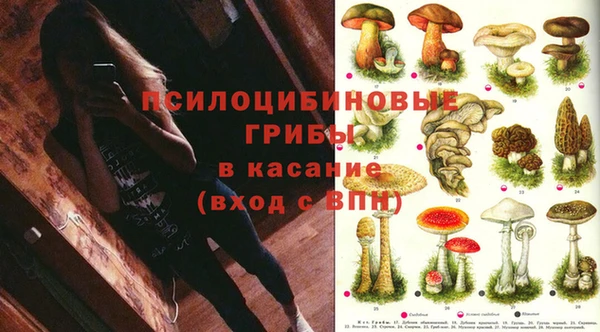 ECSTASY Алексеевка