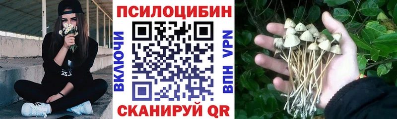 где можно купить наркотик Грязовец Галлюциногенные грибы GOLDEN TEACHER